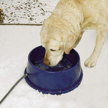 Load image into Gallery viewer, Pet Thermal Bowl (96 oz)